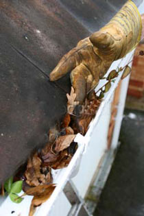 Gutters Cleaning