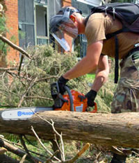 Tree Removal